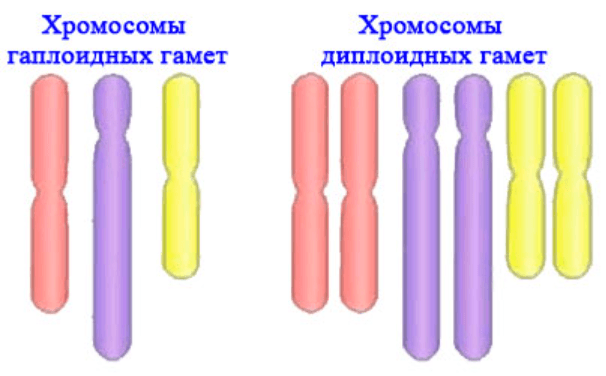 Решение рисунок 1