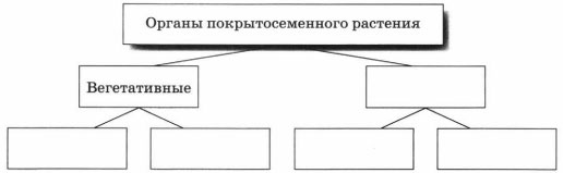 Задание рисунок 1