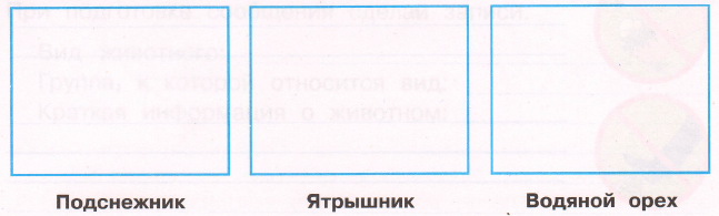 Задание рисунок 1