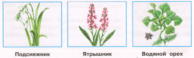 Решение рисунок 1